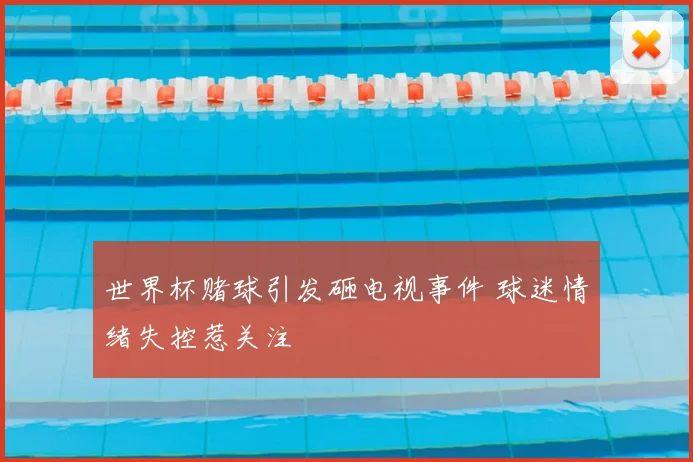 世界杯赌球引发砸电视事件 球迷情绪失控惹关注
