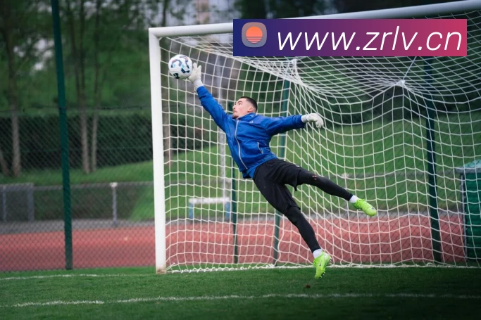 App Interface Preview